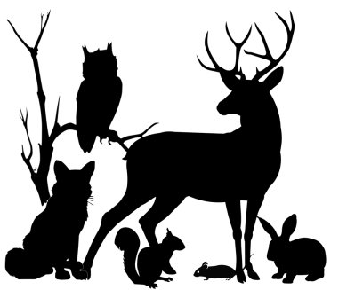 Silhoutte einer Tiergruppe aus Eule, Fuchs, Eichhörnchen, Maus, Kaninchen und Hirsch vor einem Ast