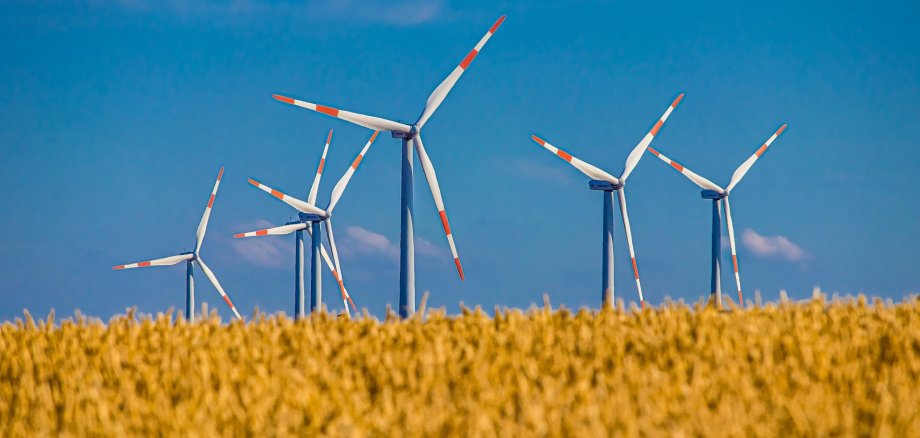 Weizenfeld vor Windkrafträdern, dahinter blauer Himmel