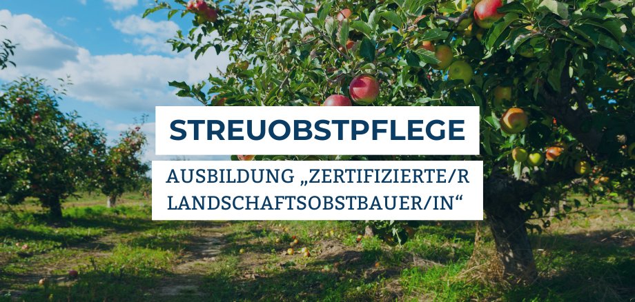 Grafik Ausbildung „Zertifizierte/r Landschaftsobstbauer/in“
