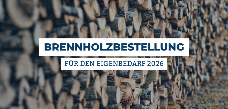 Brennholzbestellung Grafik Brennholzbestellungen Eigenbedarf 2026