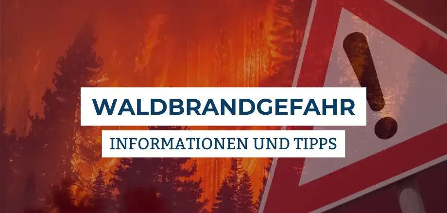Symbolbild Waldbrandgefahr