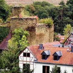 Wallrabenstein Limburg Wallrabenstein Limburg