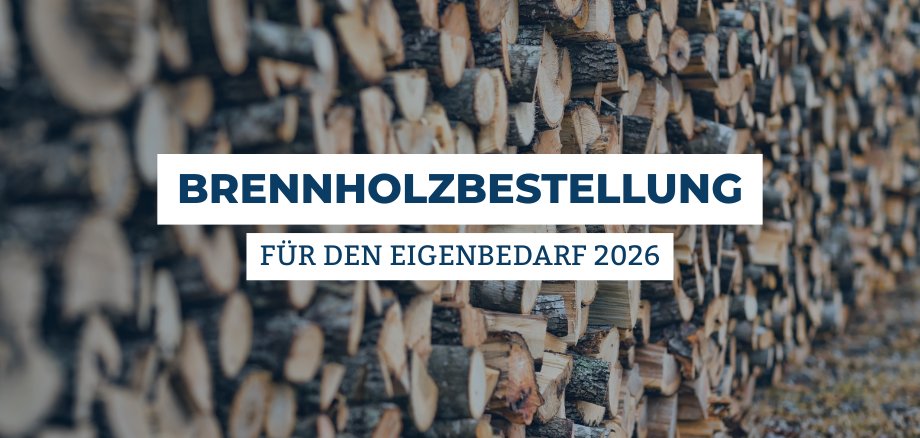 Grafik Brennholzbestellungen Eigenbedarf 2026