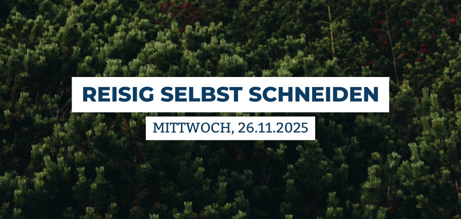 Website News - Reisig schneiden Website News - Reisig schneiden